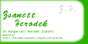 zsanett herodek business card